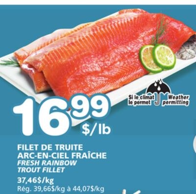 FRESH RAINBOW TROUT FILLET
