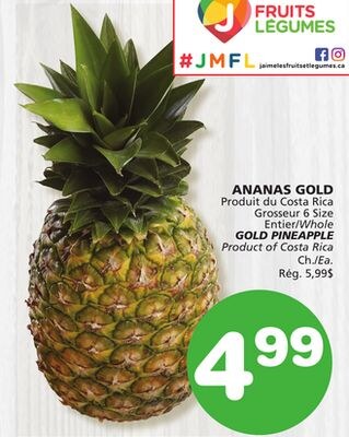 GOLD PINEAPPLE