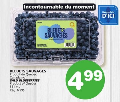WILD BLUEBERRIES