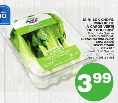 FERMES TRUDEAU SHANGHAI BOK CHOY, MINI GREEN SW…