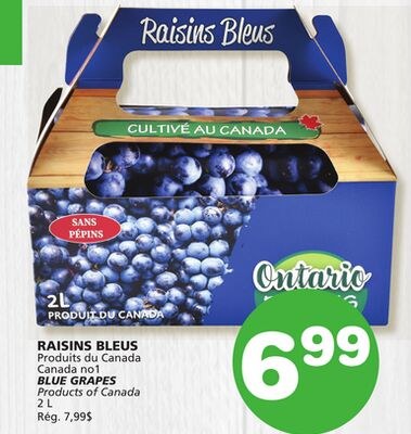 BLUE GRAPES