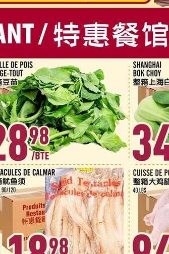 Feuille de pois mange-tout