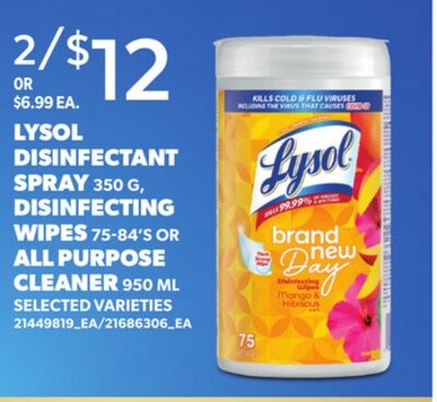 LYSOL DISINFECTANT SPRAY, 350 G, DISINFECTING W…