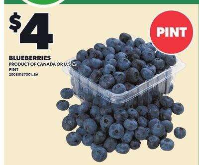 BLUEBERRIES, PINT