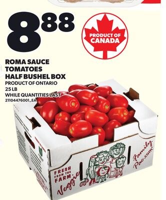 ROMA SAUCE TOMATOES