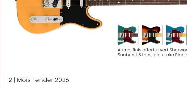 Fender Série American Professional Classic Tele…