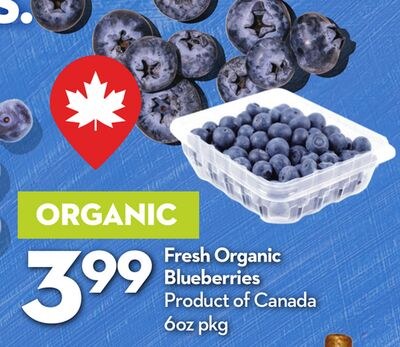 Fresh Organic Blueberries