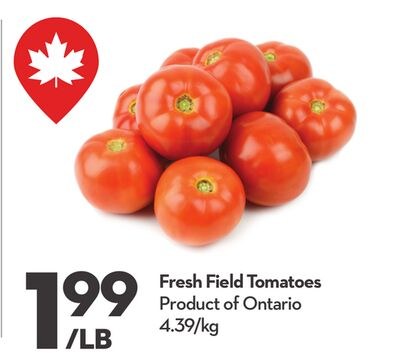 Fresh Field Tomatoes
