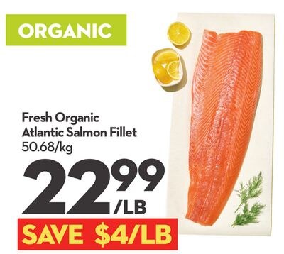 Fresh Organic Atlantic Salmon Fillet
