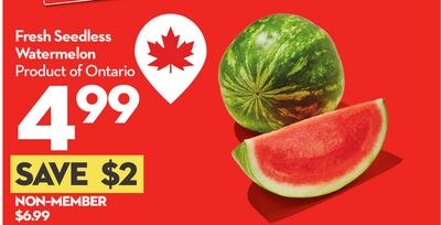 Fresh Seedless Watermelon