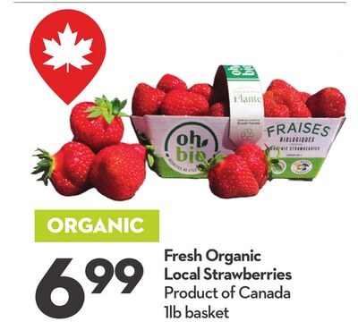 Fresh Organic Local Strawberries
