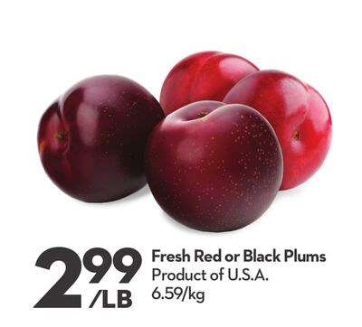 Fresh Red or Black Plums