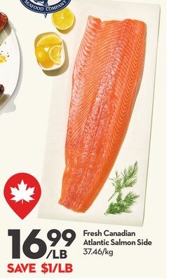 Fresh Canadian Atlantic Salmon Side