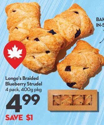 Braided Blueberry Strudel