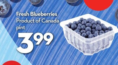 Fresh Blueberries
