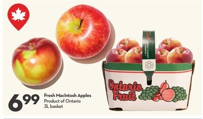 Fresh Macintosh Apples
