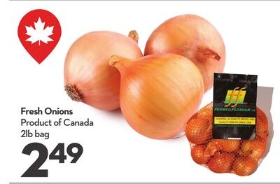 Fresh Onions