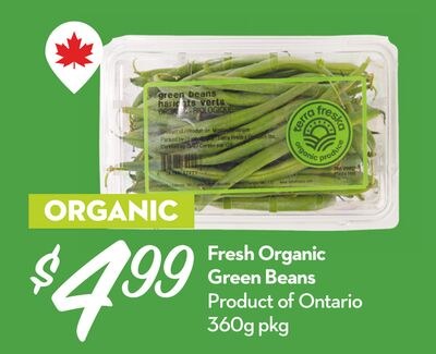 Fresh Organic Green Beans