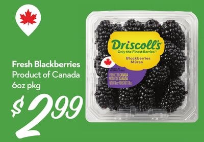 Fresh Blackberries