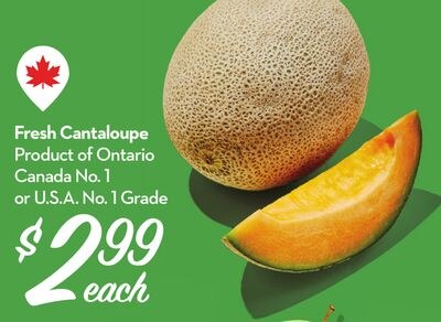 Fresh Cantaloupe
