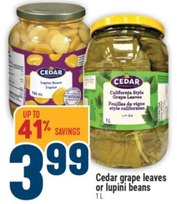 Cedar grape leaves or lupini beans
