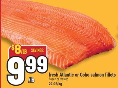 fresh Atlantic or Coho salmon fillets