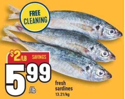 fresh sardines