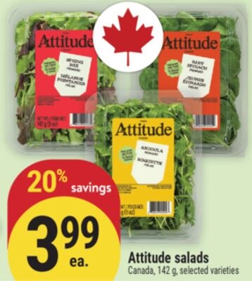 Attitude salads