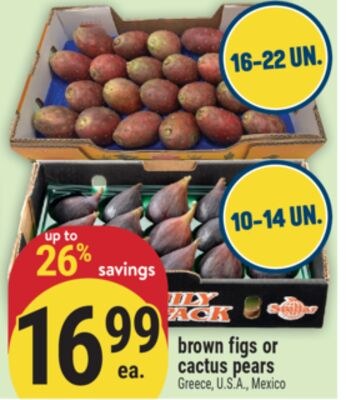 brown figs or cactus pears
