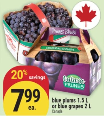 blue plums 1.5 L or blue grapes 2 L