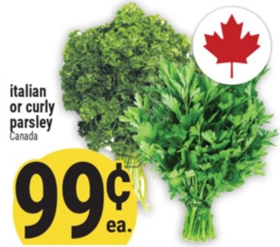 italian or curly parsley