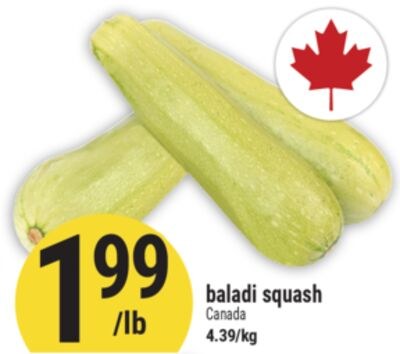 baladi squash