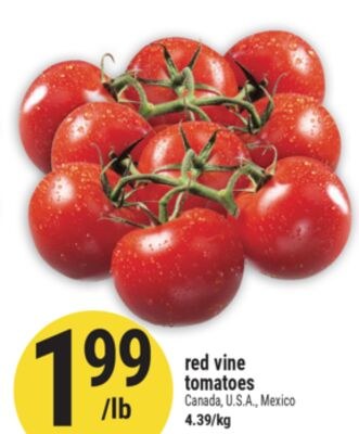 red vine tomatoes