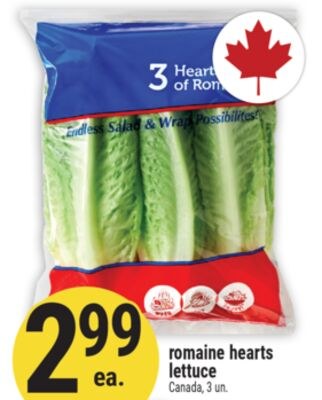 romaine hearts lettuce