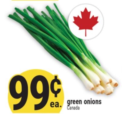 Green onions