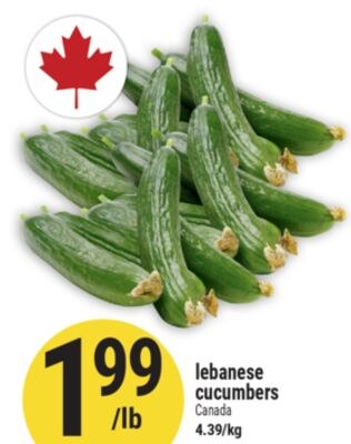 Lebanese cucumbers