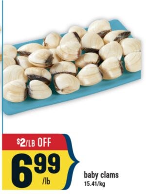 baby clams