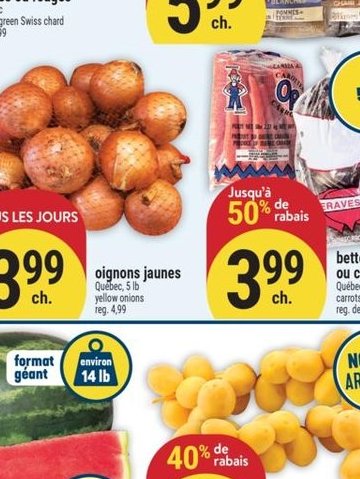 Oignons jaunes