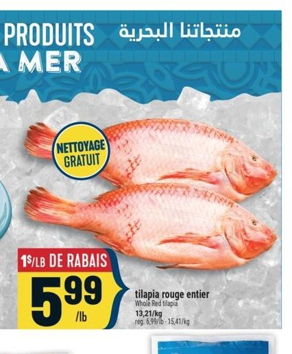 Tilapia rouge entier