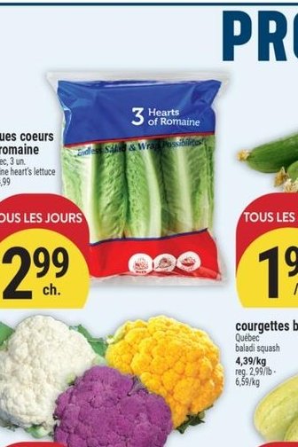 Laitues cœurs de romaine
