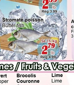 Buffles Carpes Buffalo Carp