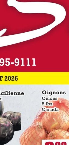 Oignons