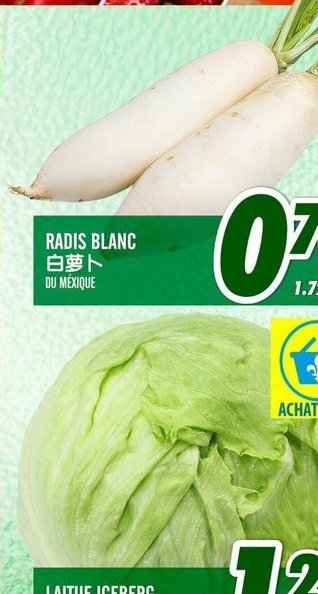 Radis blanc