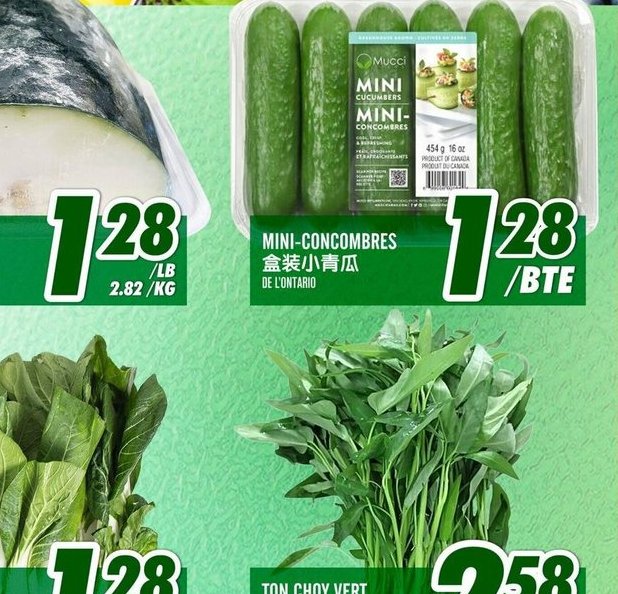 Mini-concombres
