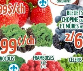 Bleuets Chopine Canada et Mexique