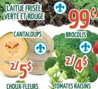Laitue frisée verte et rouge