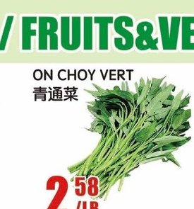 ON CHOY VERT