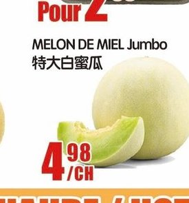 MELON DE MIEL Jumbo