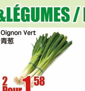 Oignon Vert