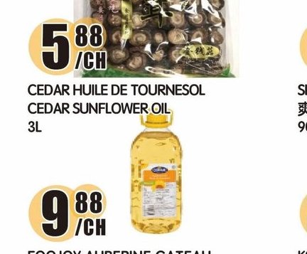 LSJ CHAMPIGNONS SECHES